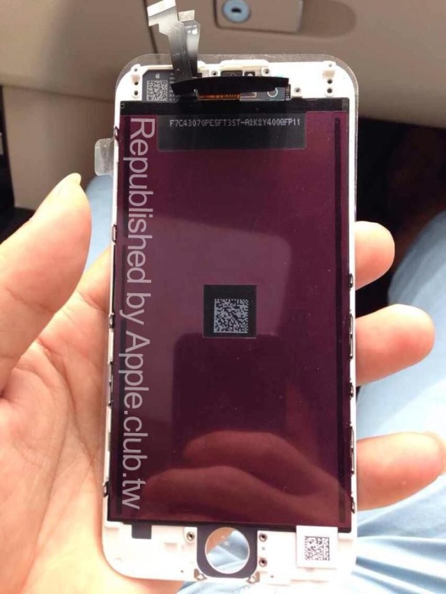 iPhone 6 Leaked Front Inside