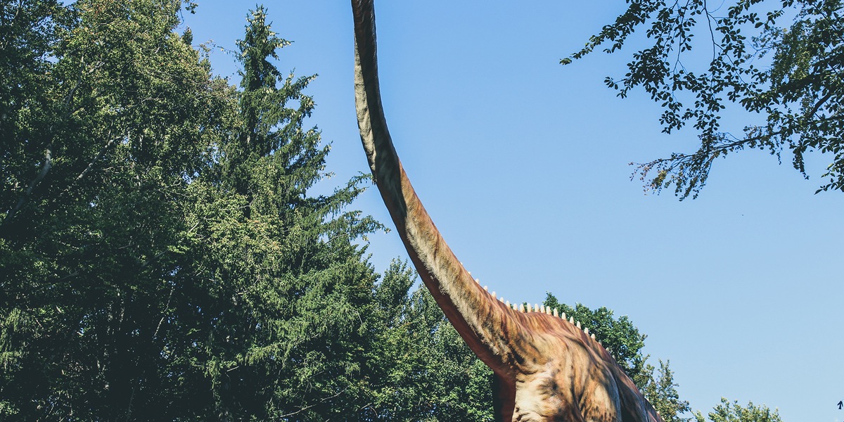 dinosaur (2)